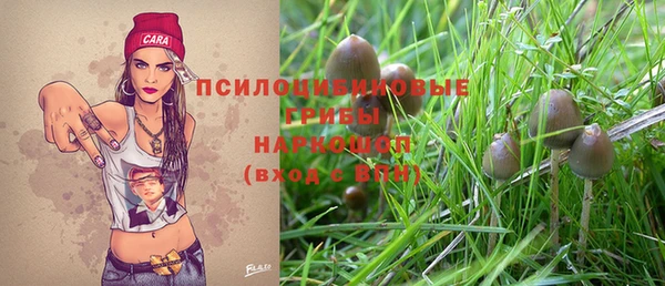 гашик Баксан